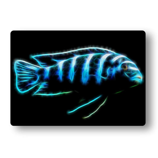 Cichlid Aluminium Metal Wall Plaque with Stunning Fractal Art Design.