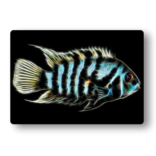 Cichlid Aluminium Metal Wall Plaque with Stunning Fractal Art Design.