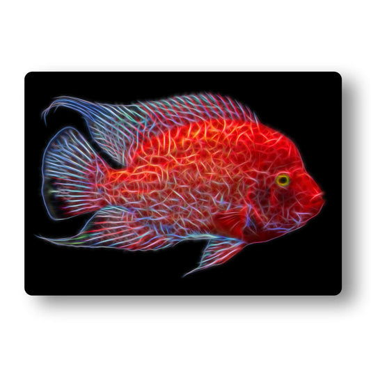 Cichlid Aluminium Metal Wall Plaque with Stunning Fractal Art Design.