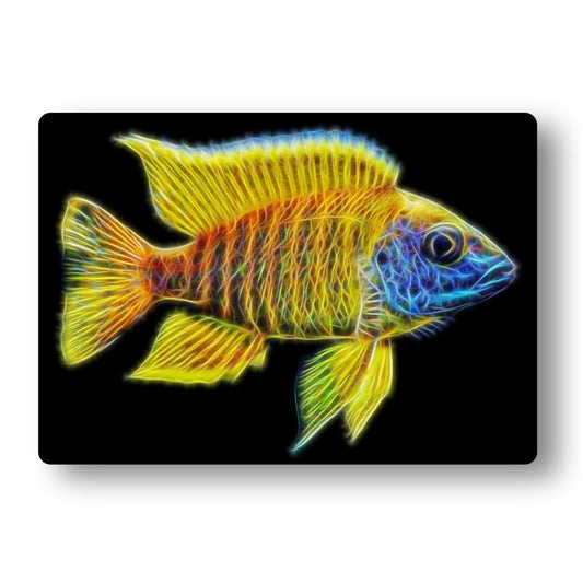 Cichlid Aluminium Metal Wall Plaque with Stunning Fractal Art Design.