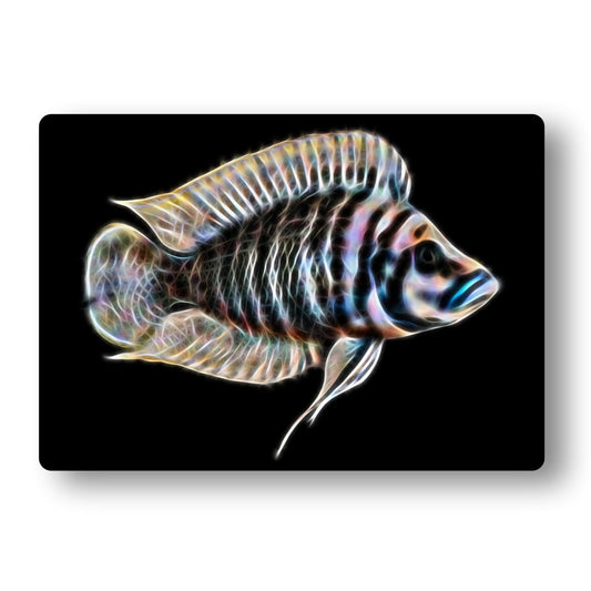 Cichlid Aluminium Metal Wall Plaque with Stunning Fractal Art Design.