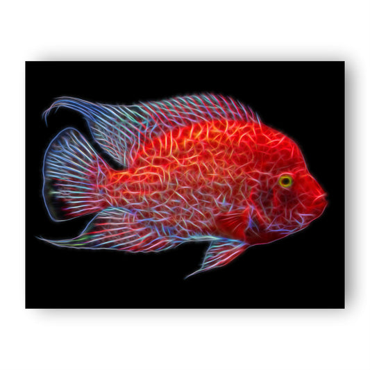 Cichlid Print with Stunning Fractal Art Design.