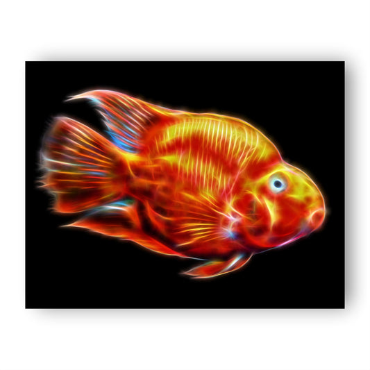 Cichlid Print with Stunning Fractal Art Design.