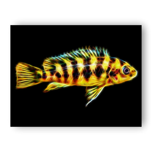 Cichlid Print with Stunning Fractal Art Design.