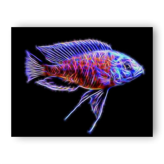Cichlid Print with Stunning Fractal Art Design.