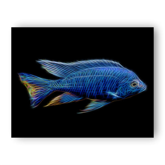 Cichlid Prints with Stunning Fractal Art Design.