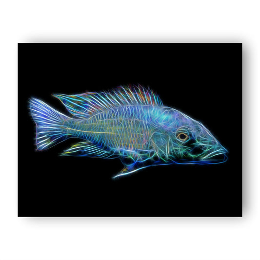 Cichlid Prints with Stunning Fractal Art Design.