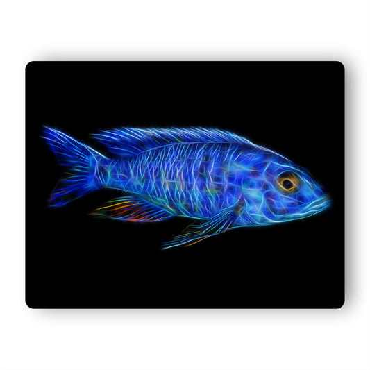 Electric Blue Hap Cichlid Aluminium Metal Wall Plaque with Stunning Fractal Art Design. Sciaenochromis Fryeri