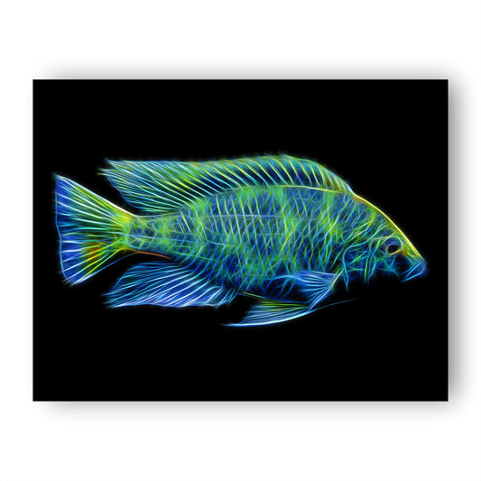 Cichlid Prints with Stunning Fractal Art Design.