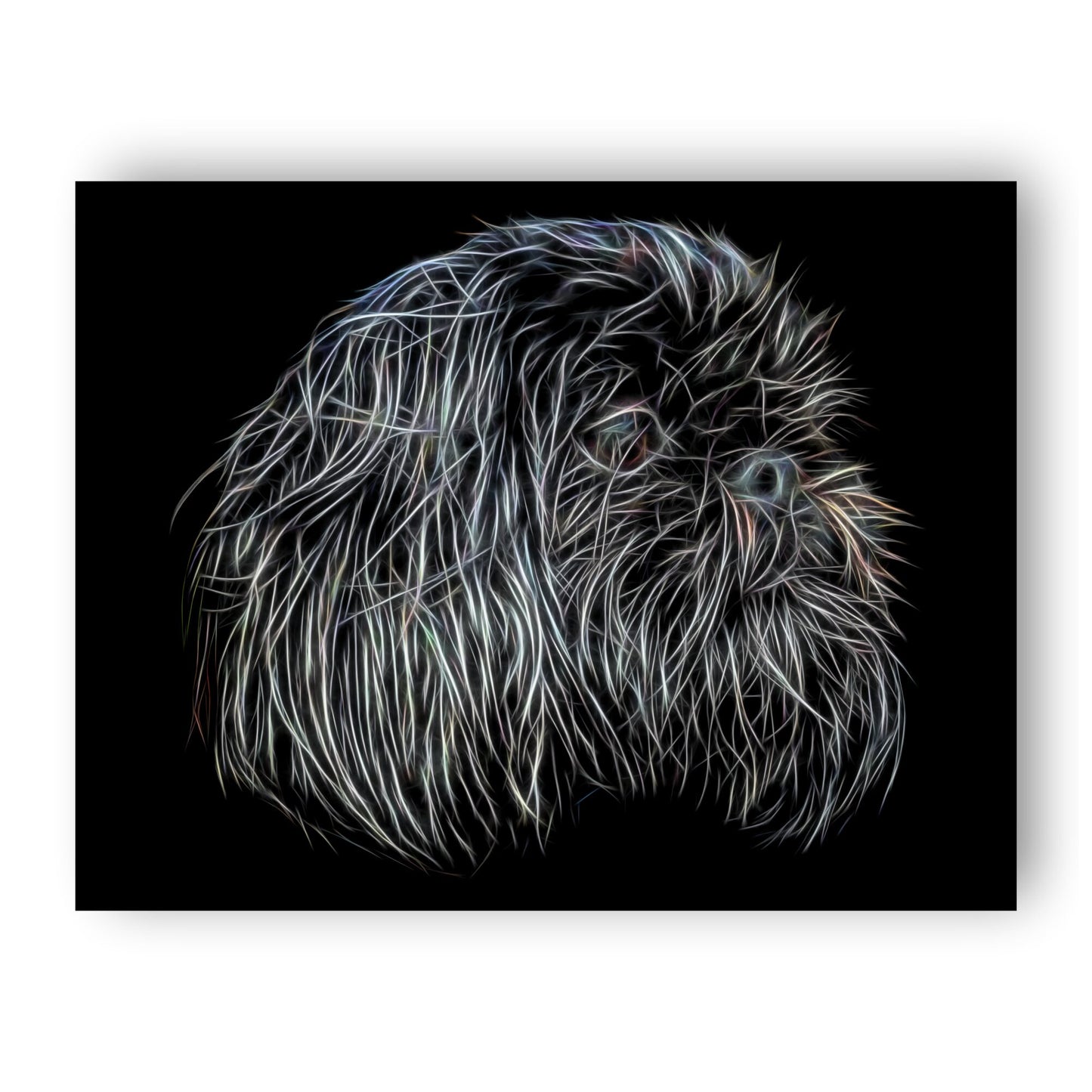Black Shih Tzu Print with Stunning Fractal Art Design. Various Sizes Available