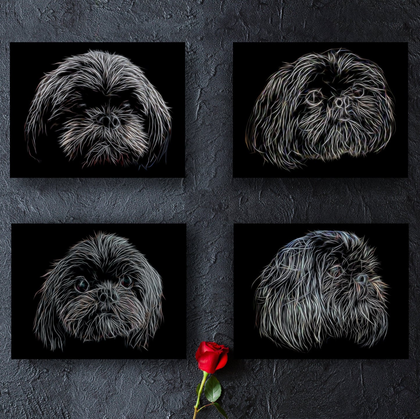 Black Shih Tzu Print with Stunning Fractal Art Design. Various Sizes Available
