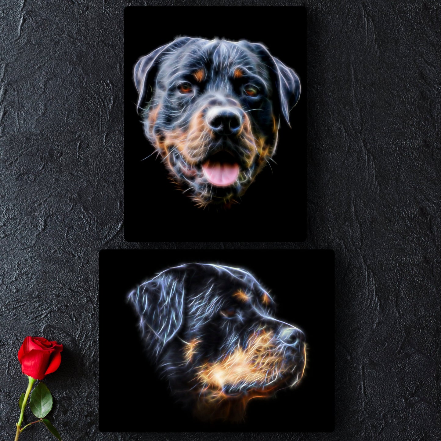 Rottweiler Aluminium Metal Wall Plaque with Stunning Fractal Art Design.