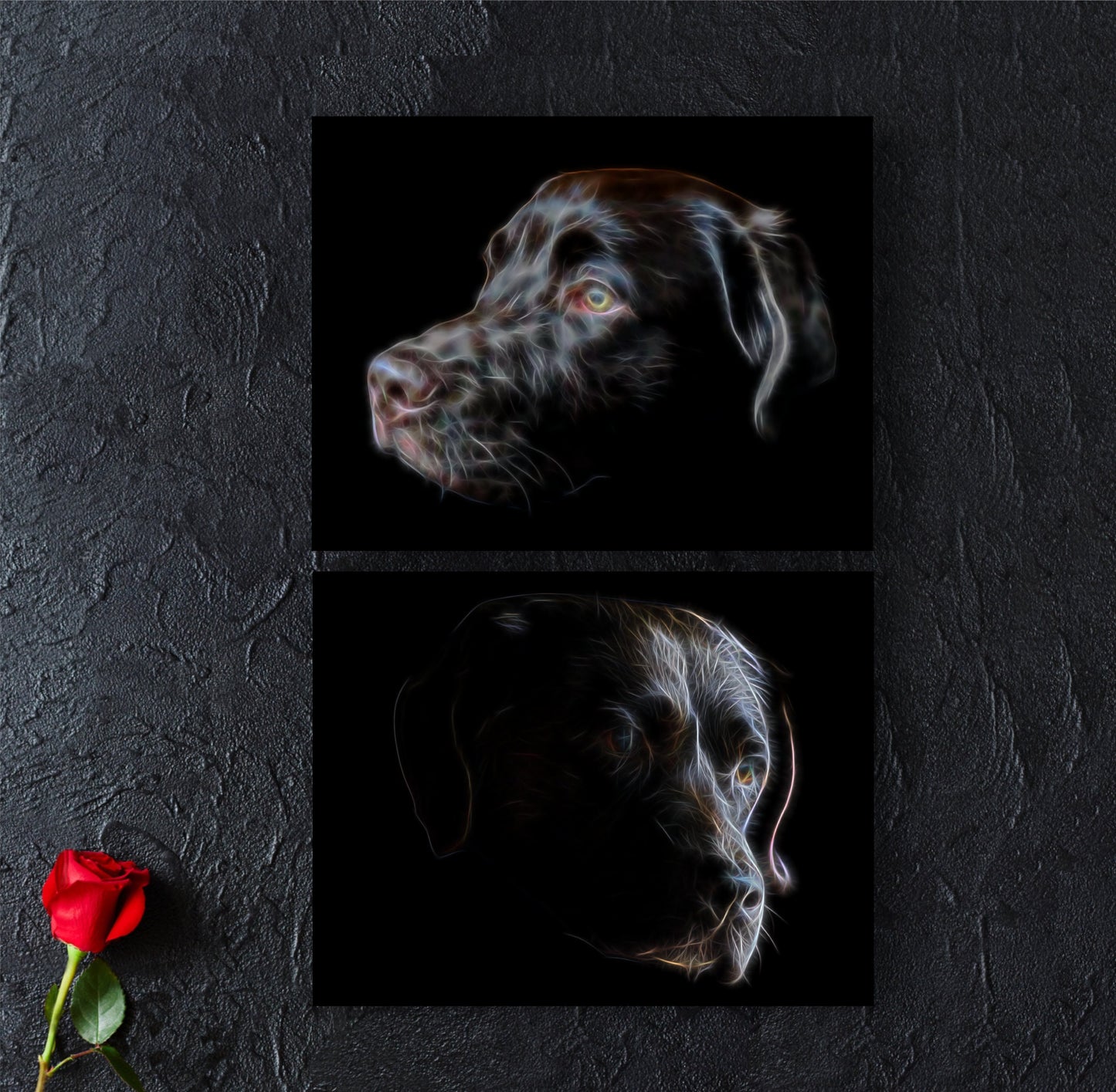 Chocolate Labrador Print with Stunning Fractal Art Design. Various Sizes Available