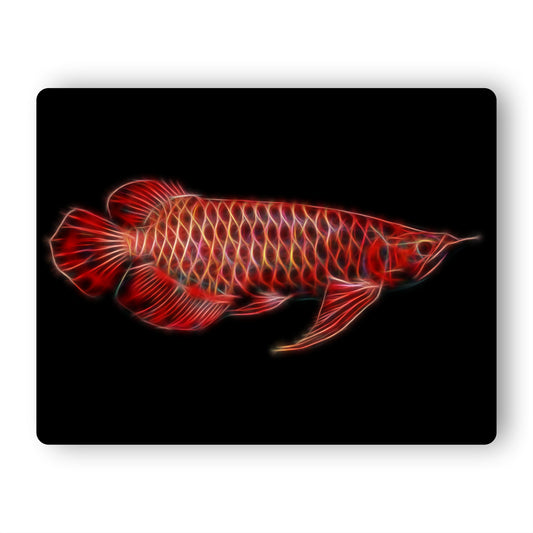 Custom Fish Portrait Print from your own Photos.
