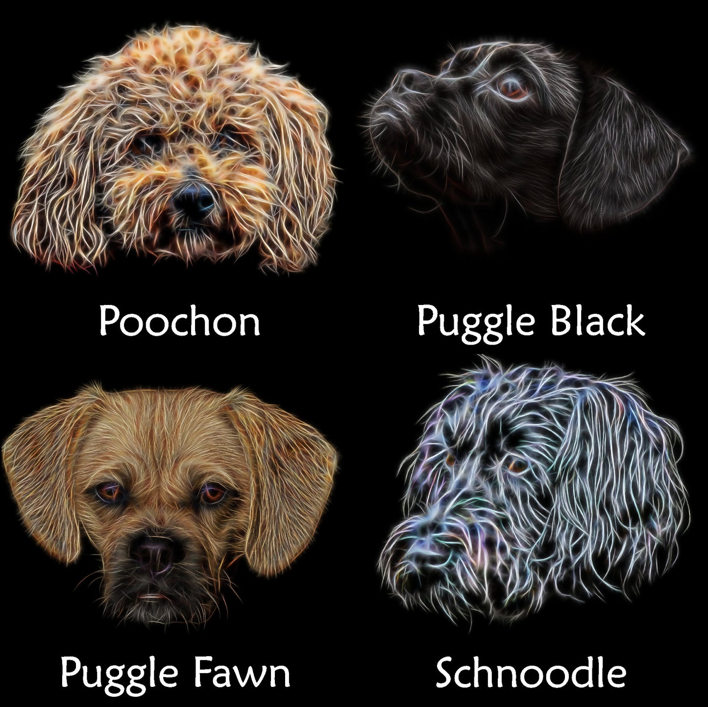 Cross Breed Dog Cushion with Insert. Various Breeds including Cockapoo Labradoodle Cavapoo Cavachon Chorkie Jackapoo Sprocker and more