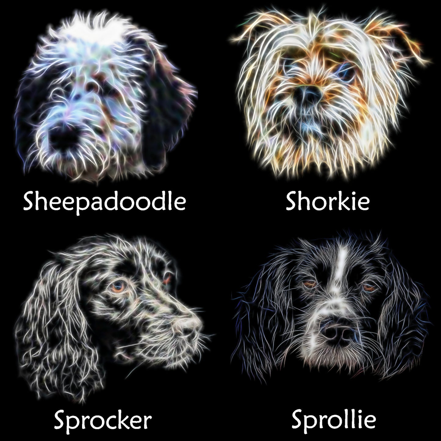 Cross Breed Dog Cushion with Insert. Various Breeds including Cockapoo Labradoodle Cavapoo Cavachon Chorkie Jackapoo Sprocker and more