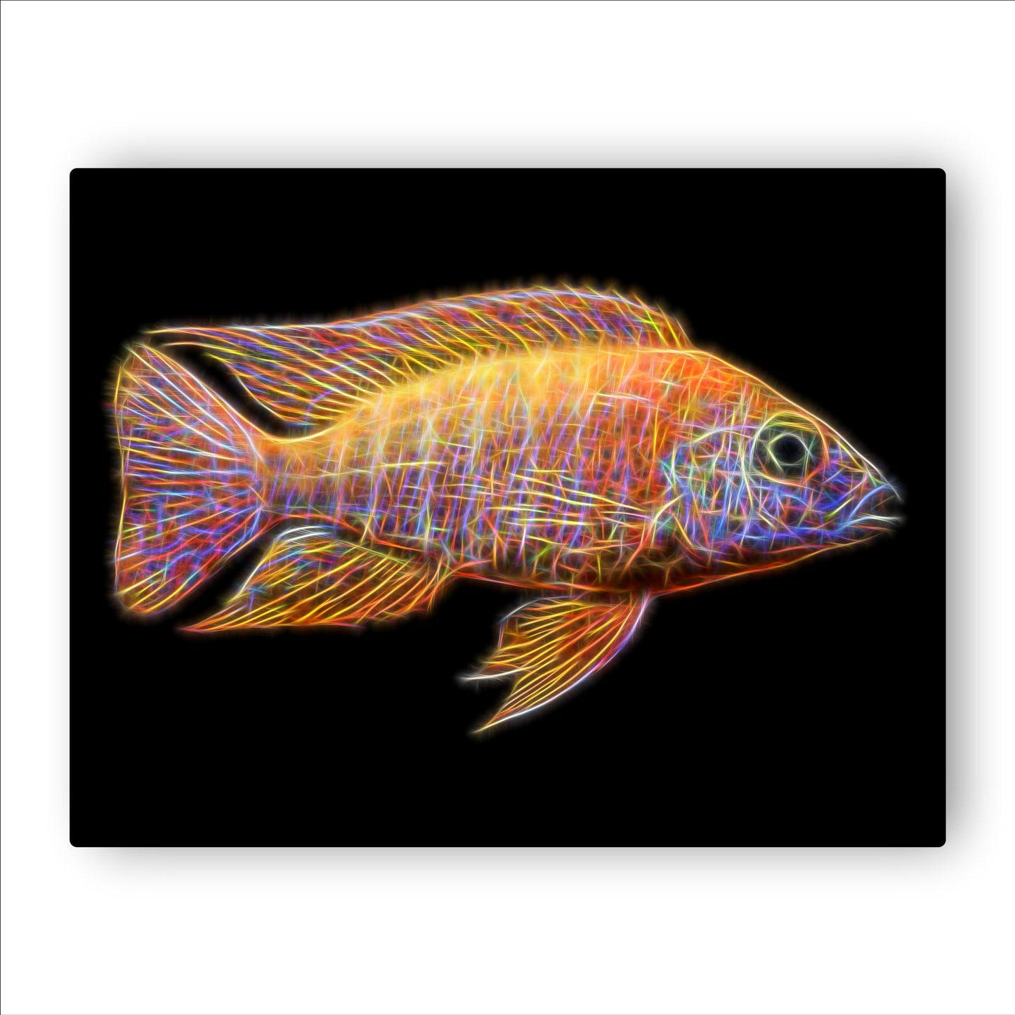 Ruby Red Peacock Cichlid Fish Print with Stunning Fractal Art Design. Aulonocara