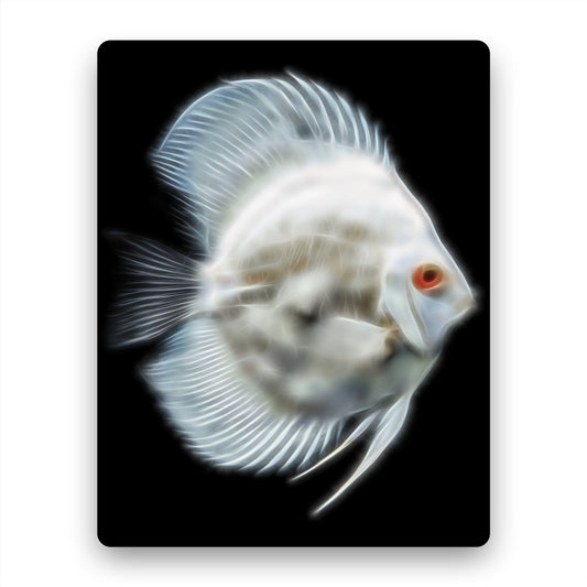 Discus Fish Print with Stunning Fractal Art Design.