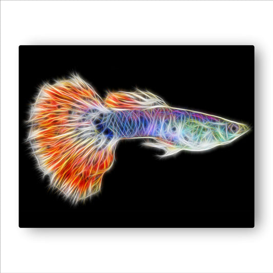Guppy Fish Prints with Stunning Fractal Art Designs.