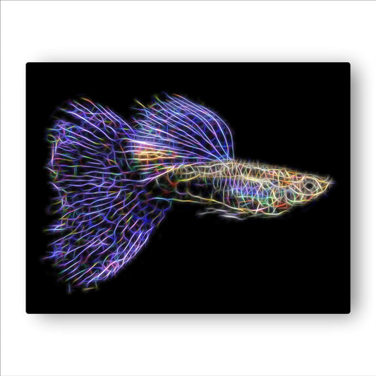 Guppy Fish Prints with Stunning Fractal Art Designs.