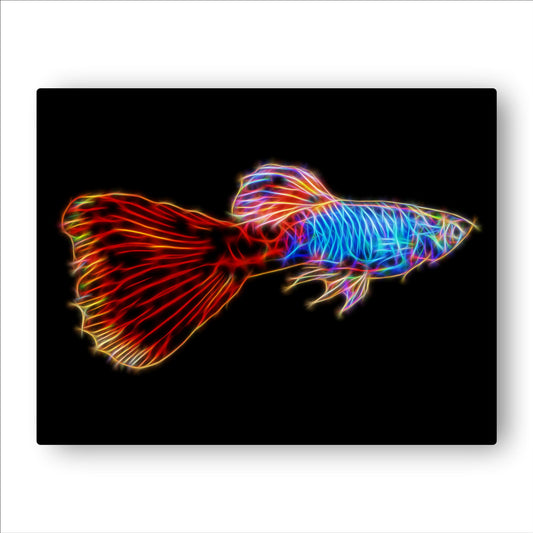 Guppy Fish Prints with Stunning Fractal Art Designs.