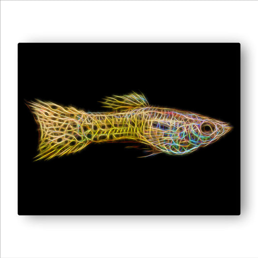 Guppy Fish Prints with Stunning Fractal Art Designs.