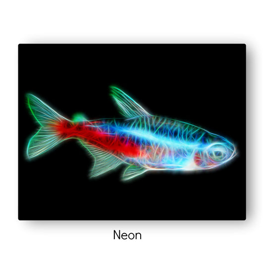 Tetra Fish Prints with Stunning Fractal Art Designs.