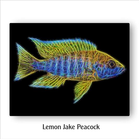 Lemon Jake Peacock Cichlid Fish Print with Stunning Fractal Art Design. Aulonocara