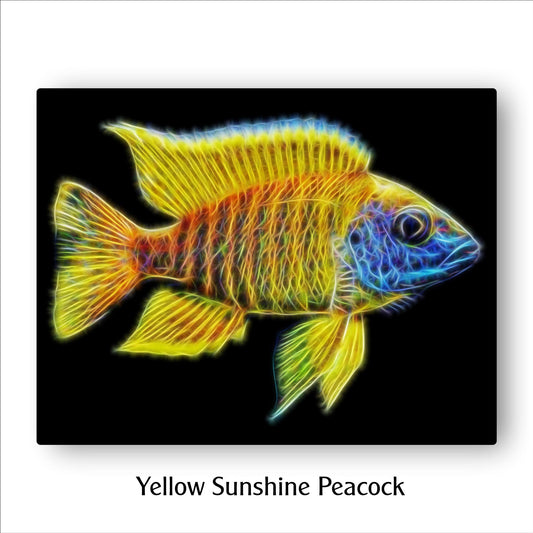 Yellow Sunshine Peacock Cichlid Fish Print with Stunning Fractal Art Design. Aulonocara