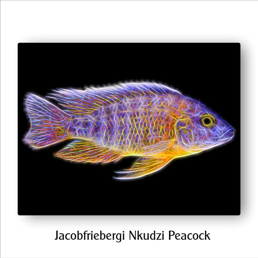 Jacobfreibergi Nkudzi Peacock Cichlid Fish Print with Stunning Fractal Art Design. Aulonocara