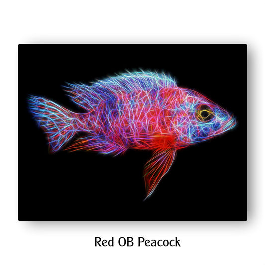 Red OB Peacock Cichlid Fish Print with Stunning Fractal Art Design. Aulonocara