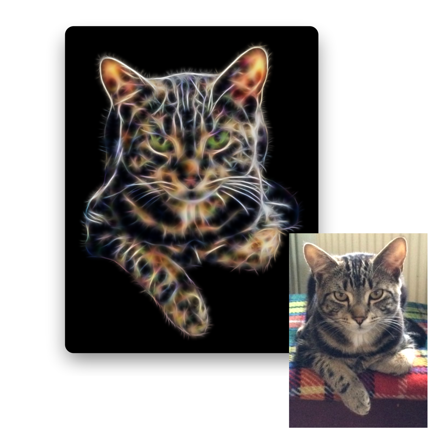 Custom Metal Wall Plaque of your Pet in Fractal Art Style.
