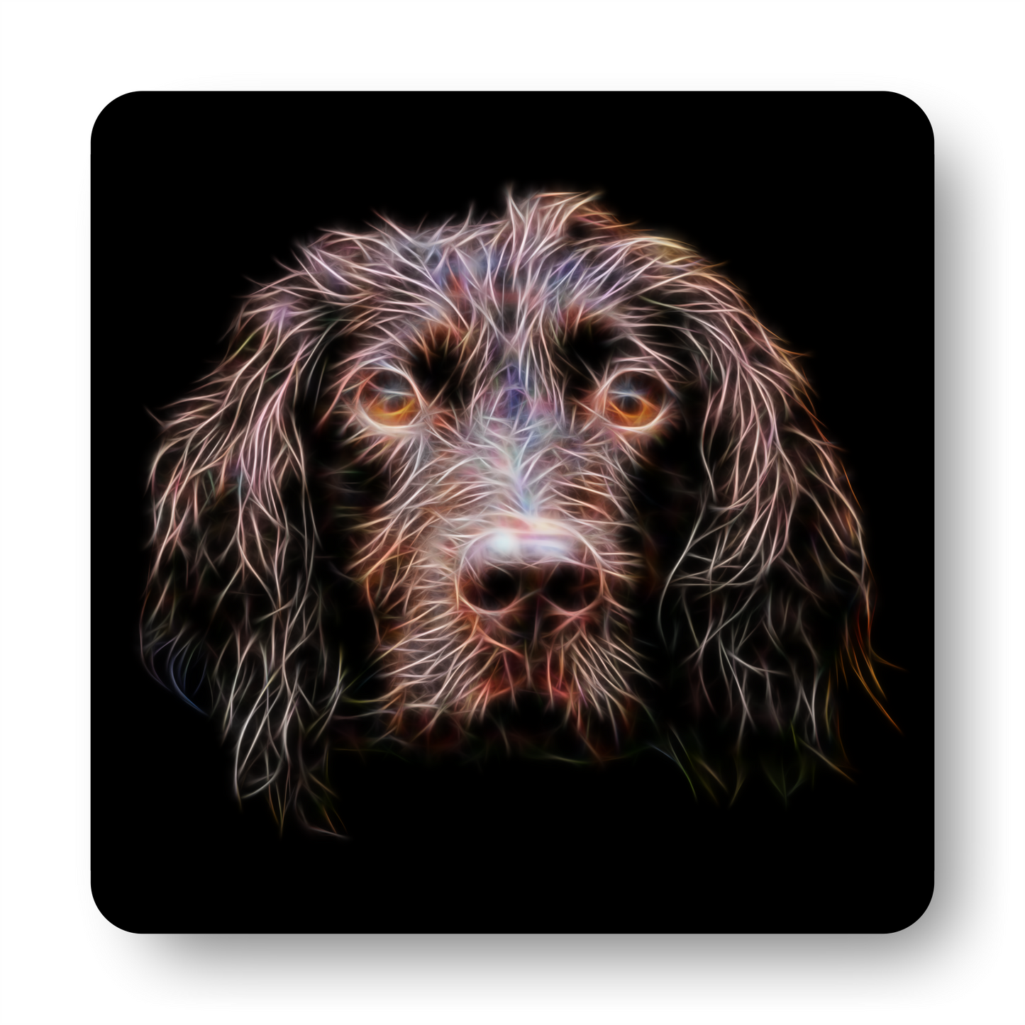 Chocolate Working Cocker Spaniel coaster