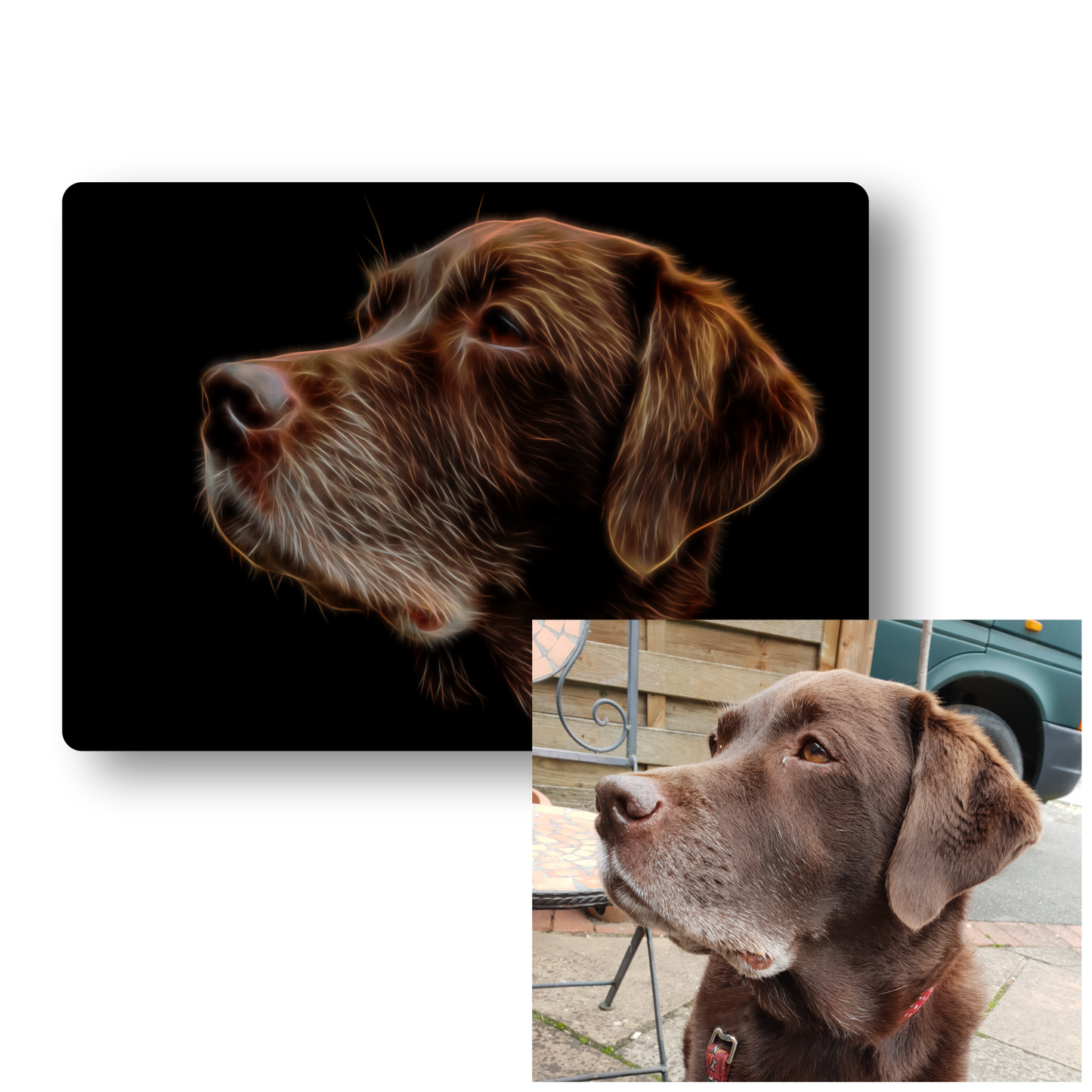 Custom Metal Wall Plaque of your Pet in Fractal Art Style.