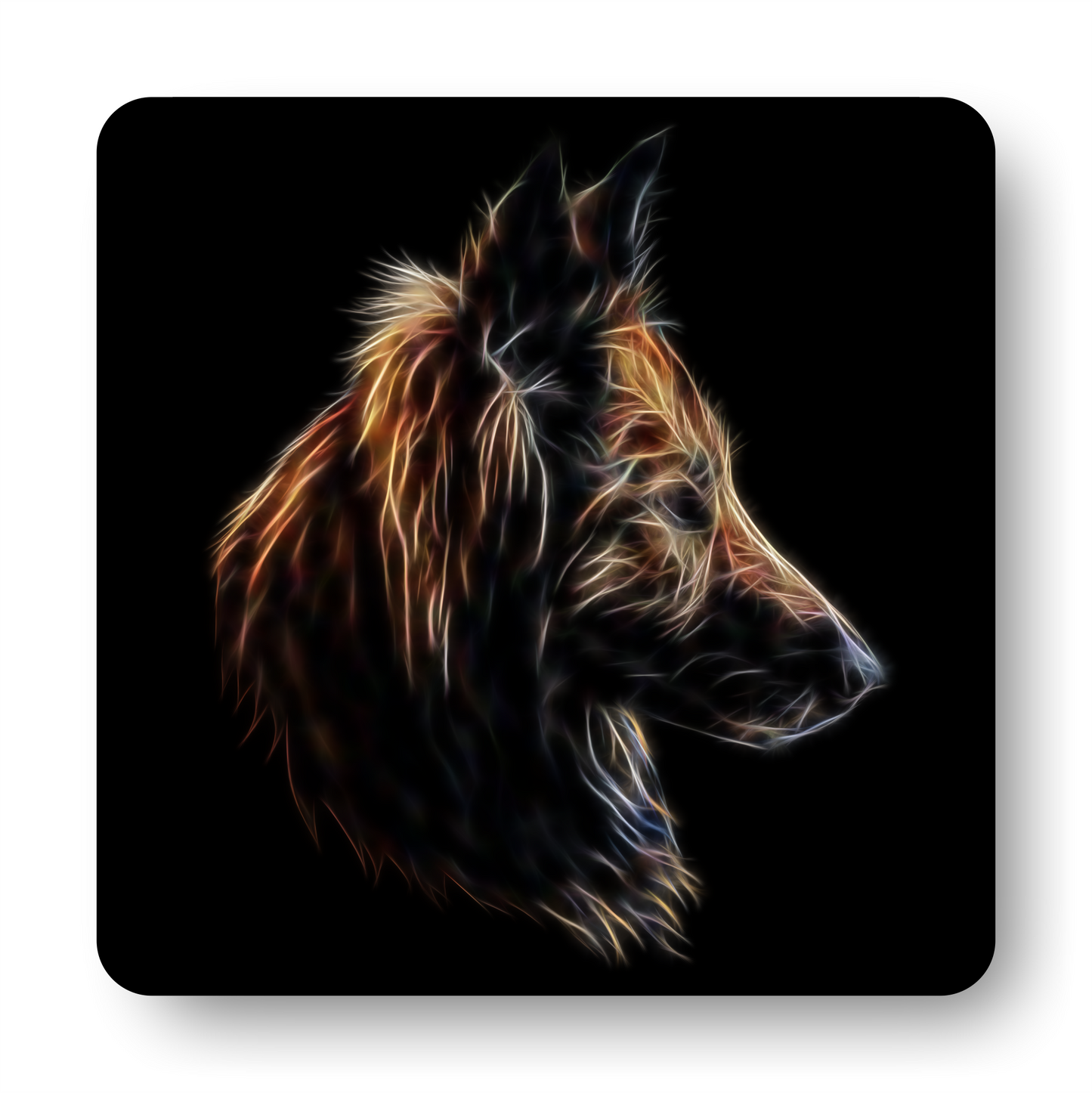 Belgian Tervuren Coaster