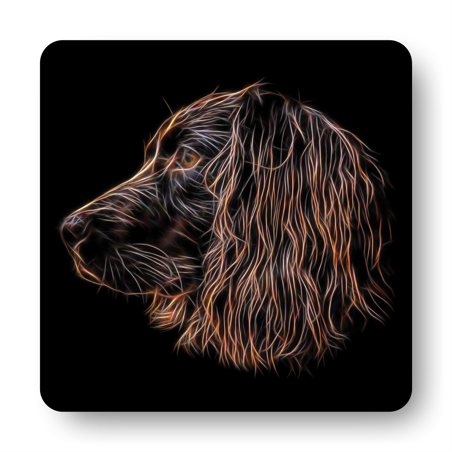 Chocolate Working Cocker Spaniel coaster