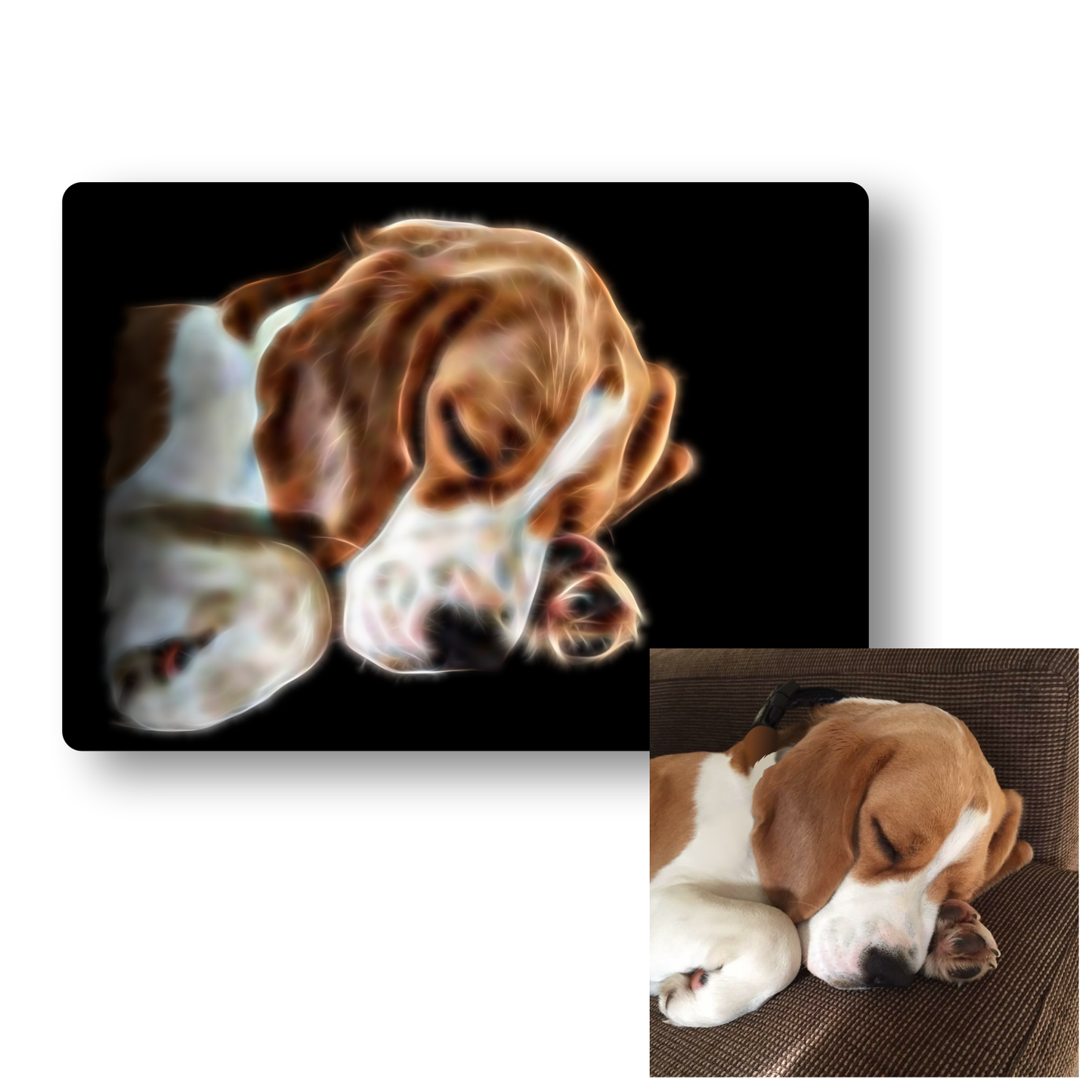 Custom Metal Wall Plaque of your Pet in Fractal Art Style.