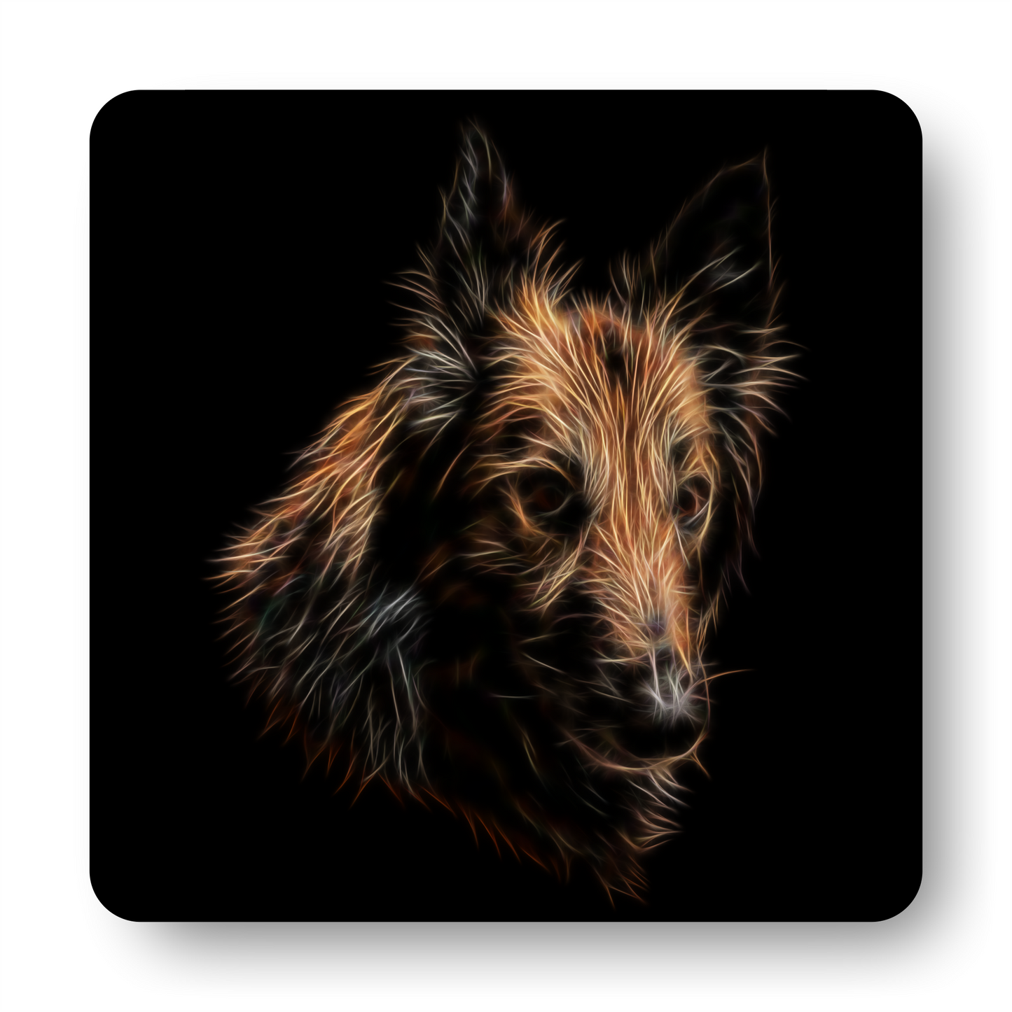 Belgian Tervuren Coaster