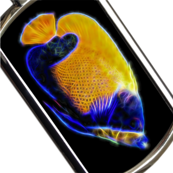 Angelfish Keyrings - Various Designs