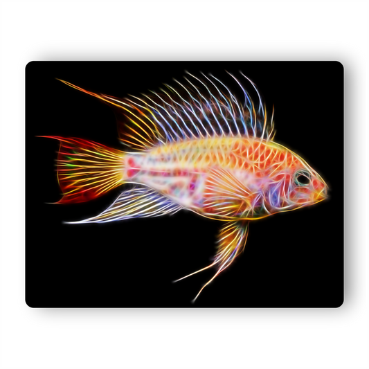 Gold Viejita Apistogramma Cichlid Fish Metal Wall Plaque.