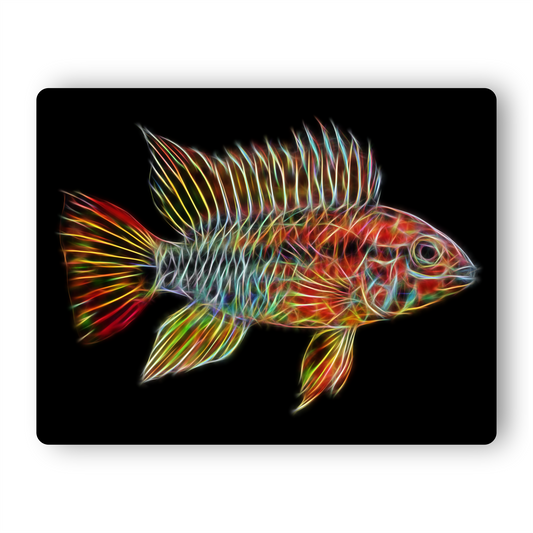 Red Neck Apistogramma Cichlid Fish Metal Wall Plaque.