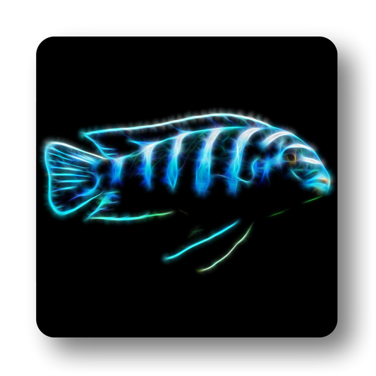 Cichlid Fish Coasters - Various Designs