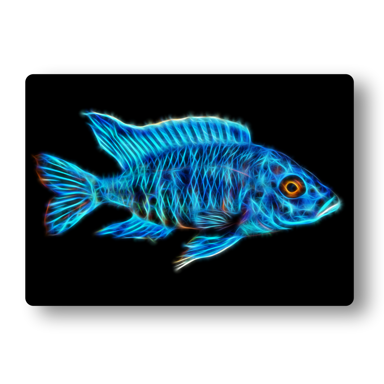 Cichlid (Blue Peacock) Fractal Art Metal Wall Plaque