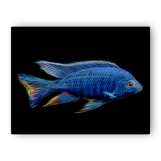 Azureus Cichlid Metal Wall Plaque Copadichromis Azureus