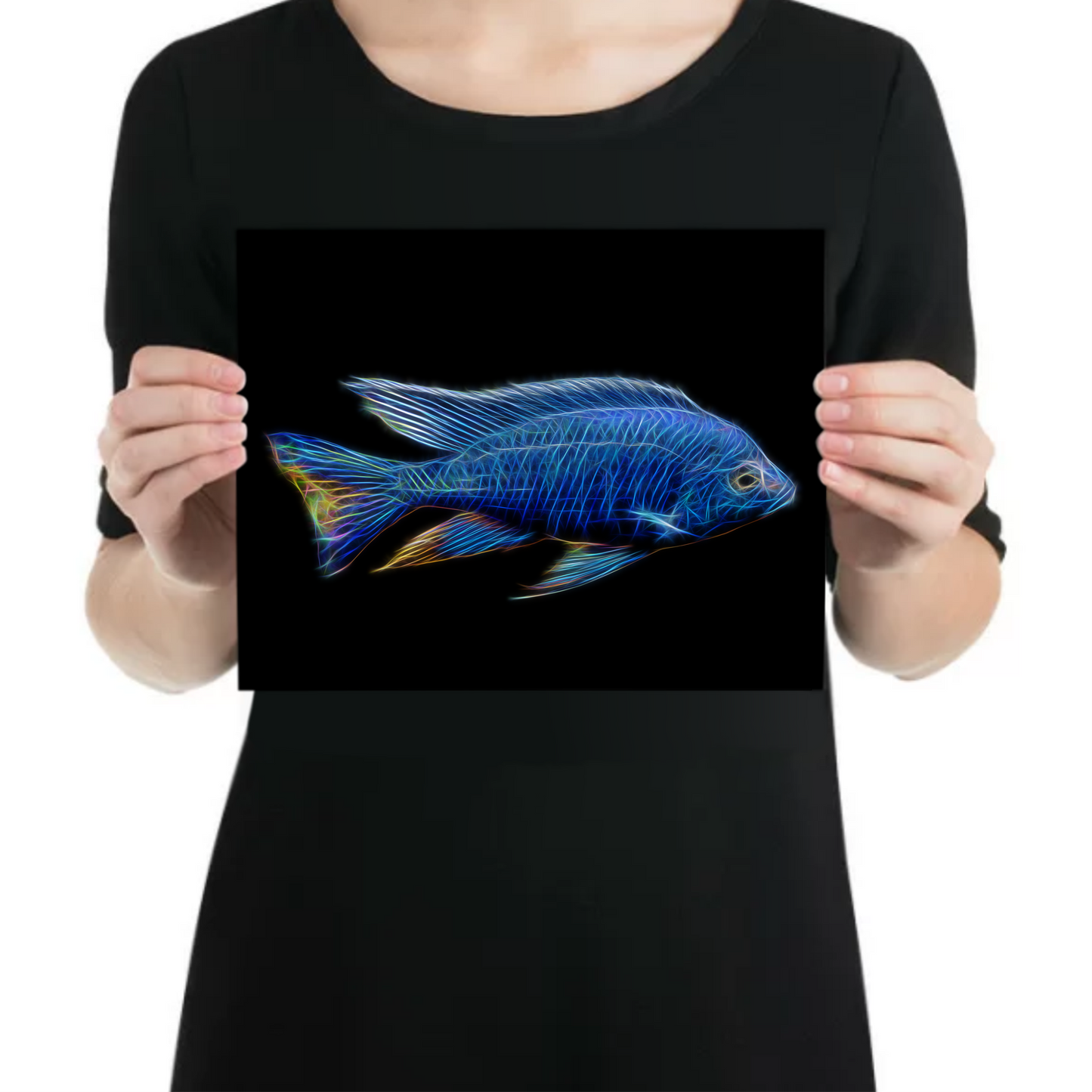 Azureus Cichlid Metal Wall Plaque Copadichromis Azureus
