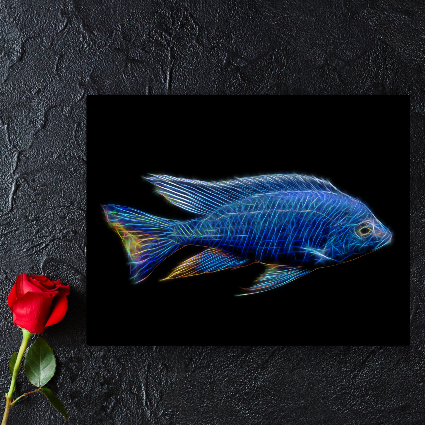 Azureus Cichlid Metal Wall Plaque Copadichromis Azureus