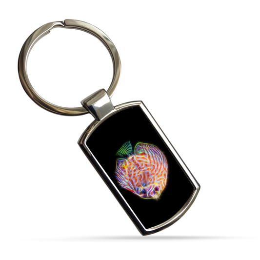 Discus Fish Keyrings - Various Designs
