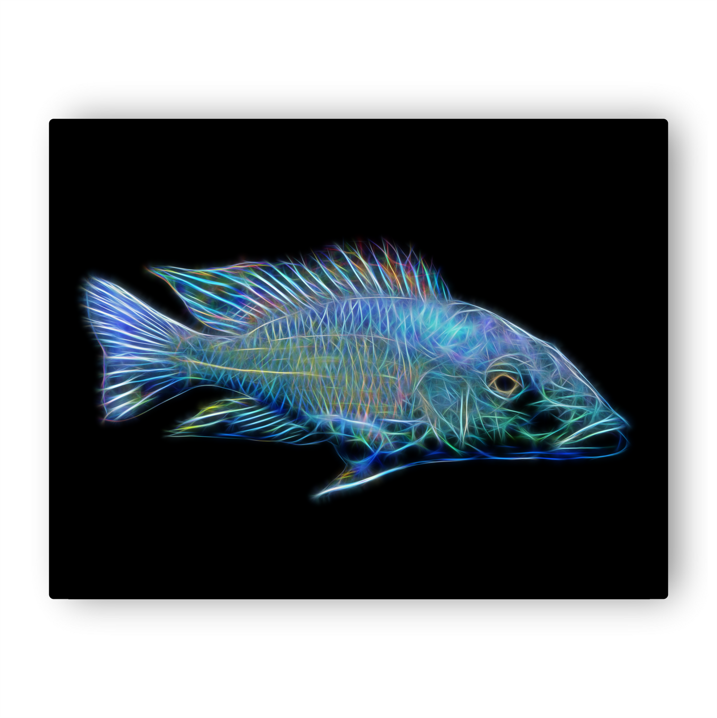 Rostratus Cichlid Print Fossorochromis rostratus