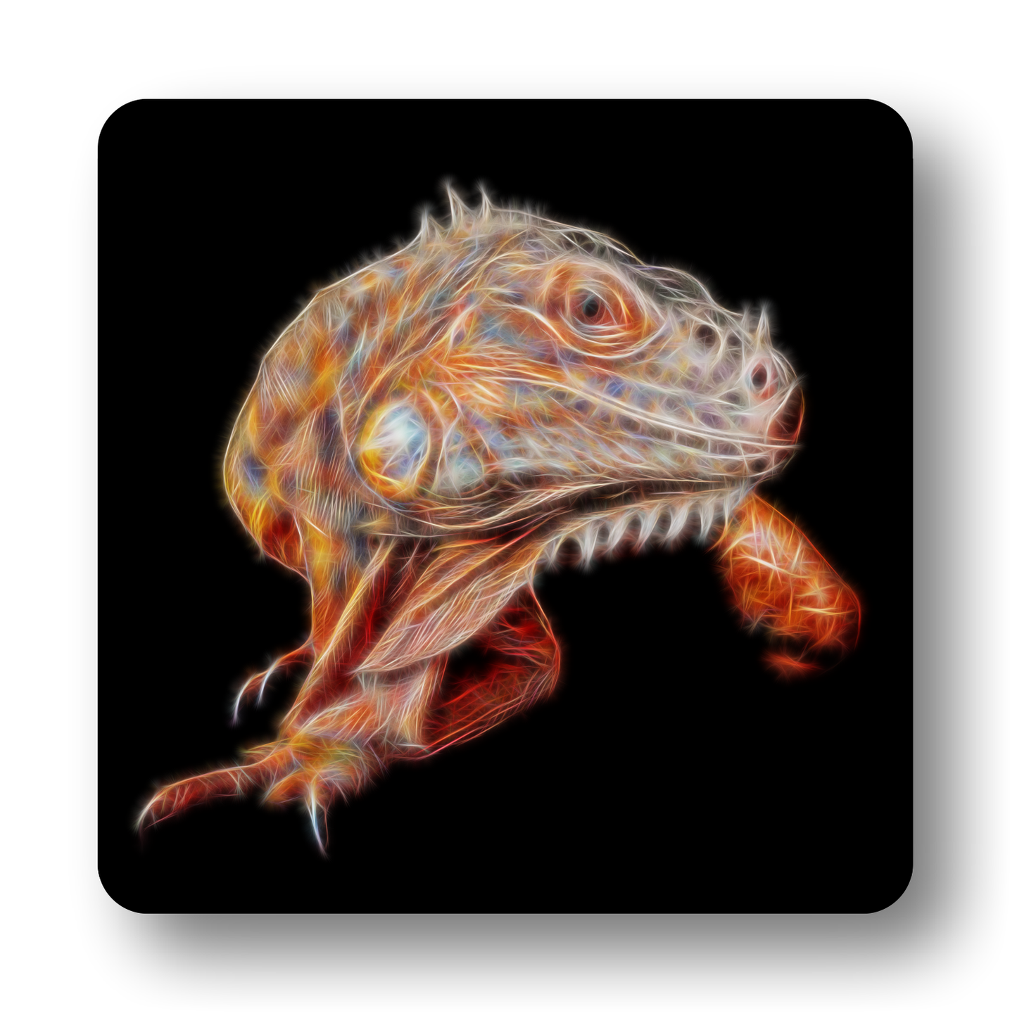 Reptile Coaster