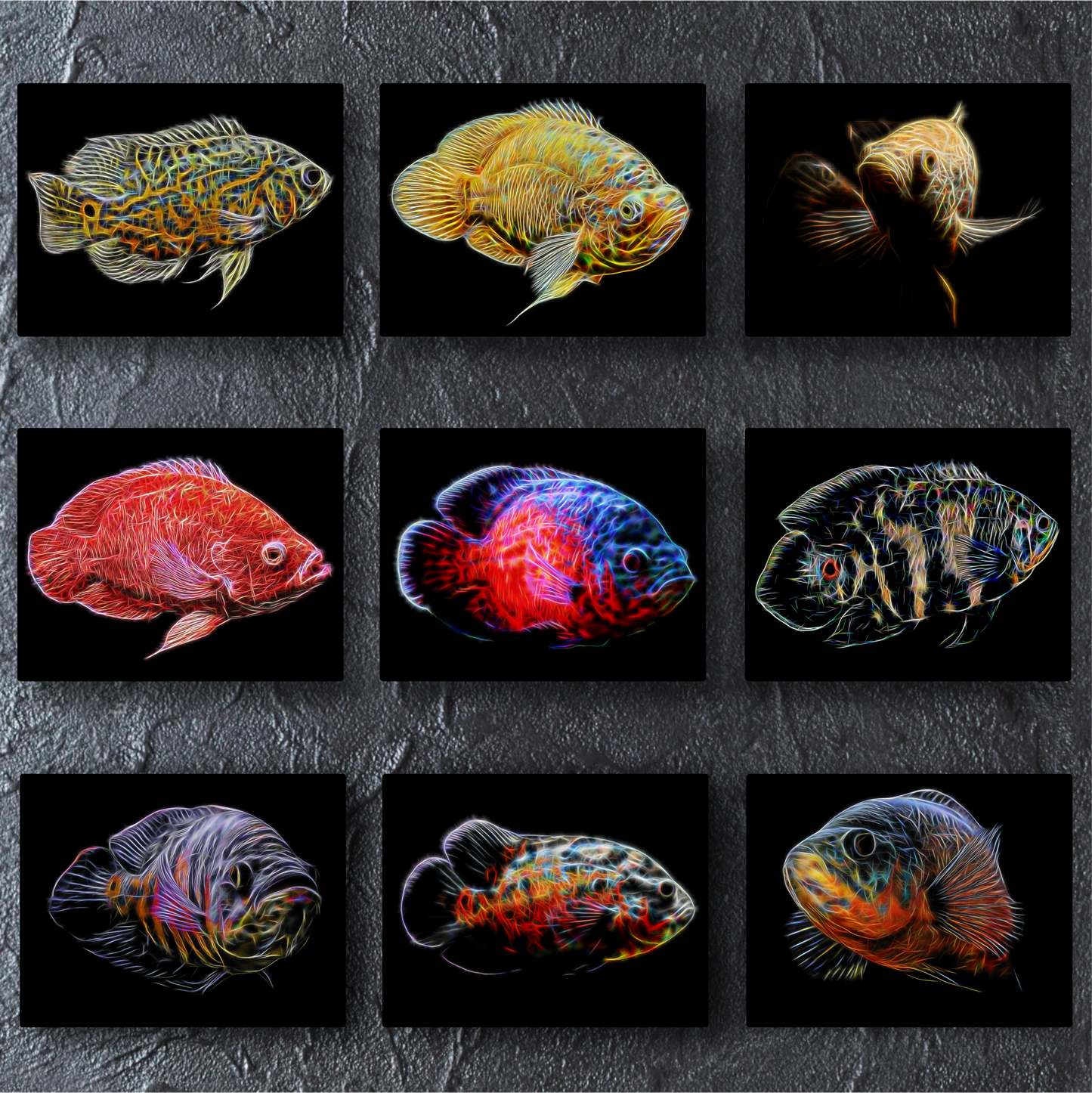 Oscar Cichlid Aluminium Metal Wall Plaque with Stunning Fractal Art Design.